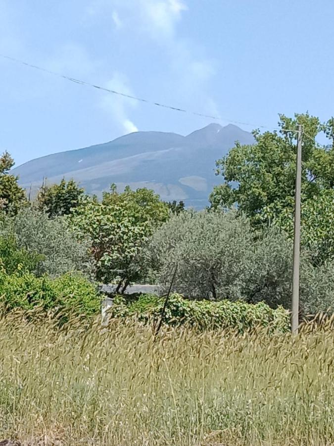 벨파소 Risveglio Sull'Etna 빌라 외부 사진